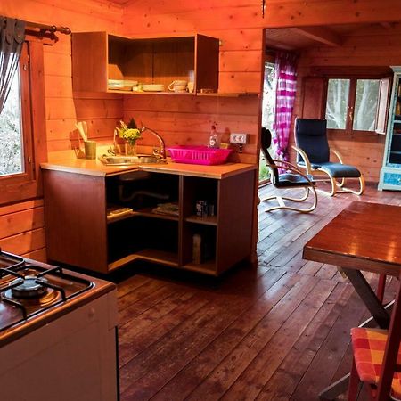 Finca Pura Vida Blockhaus Mazo Dış mekan fotoğraf
