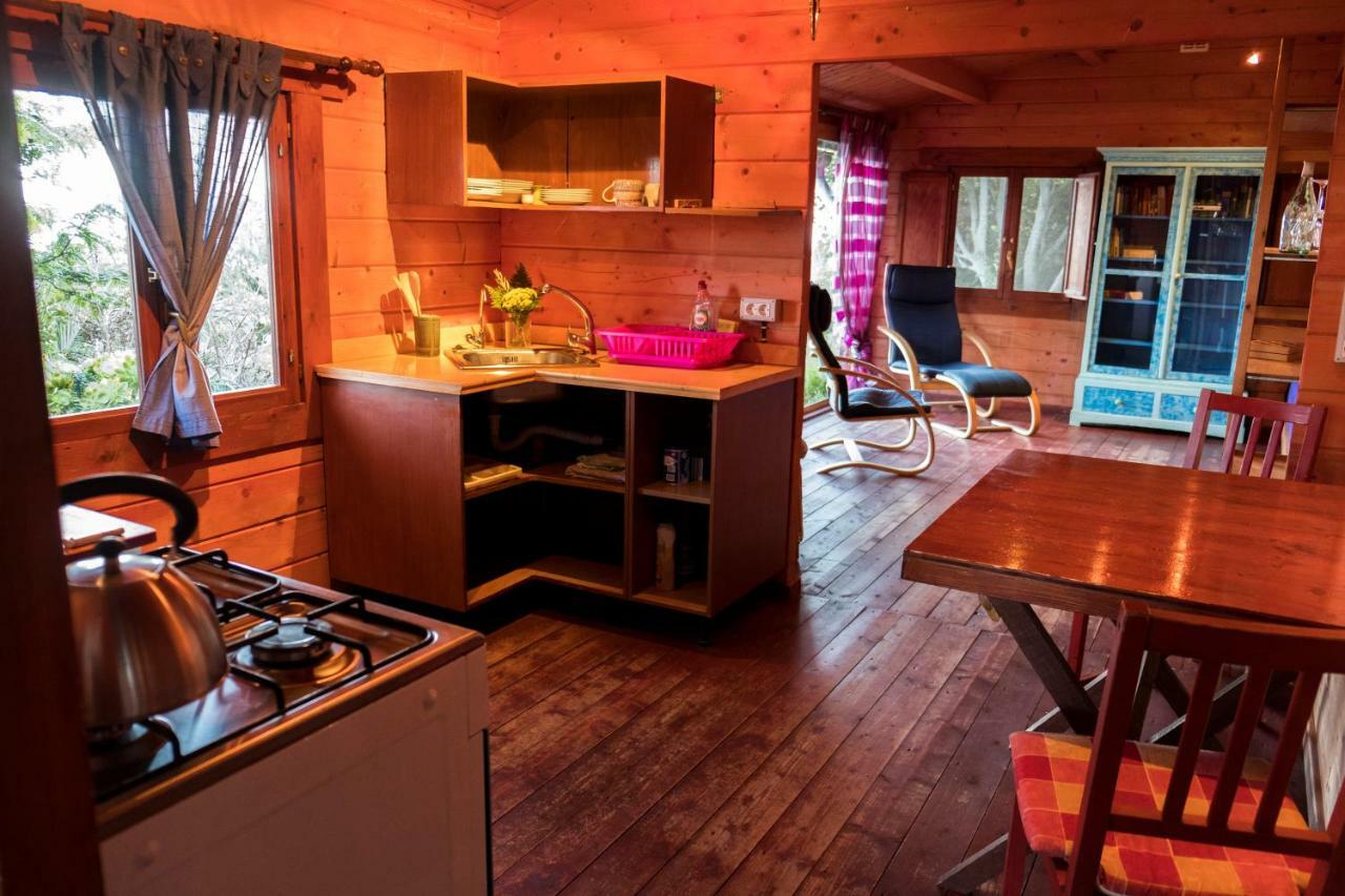 Finca Pura Vida Blockhaus Mazo Dış mekan fotoğraf