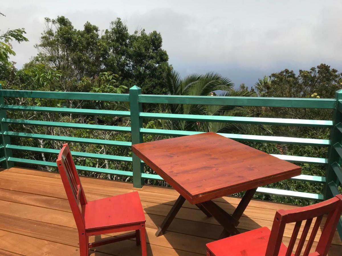 Finca Pura Vida Blockhaus Mazo Dış mekan fotoğraf
