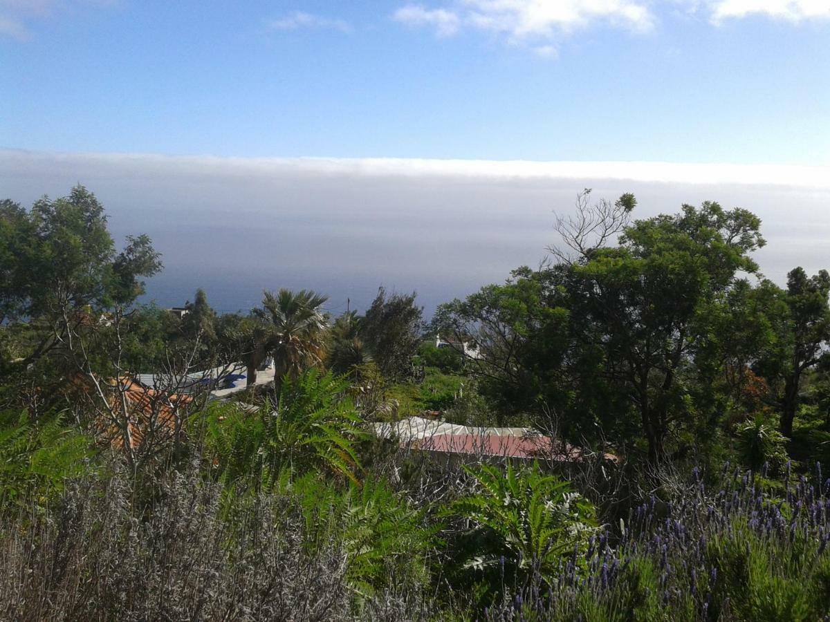 Finca Pura Vida Blockhaus Mazo Dış mekan fotoğraf
